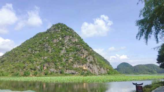 Western Wild Wetland