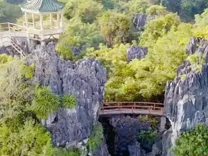 Shi Jing Lin Scenic Spot