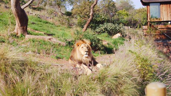 Зоопарк Претории