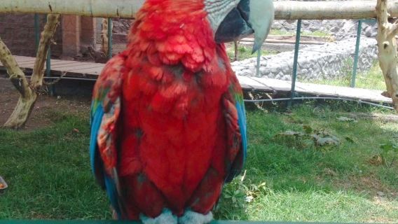 Zoo Mundo