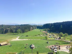 BergTierPark Blindham