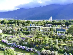 貓米花園