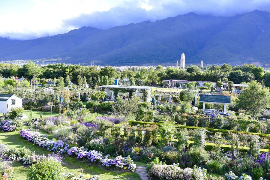 貓米花園