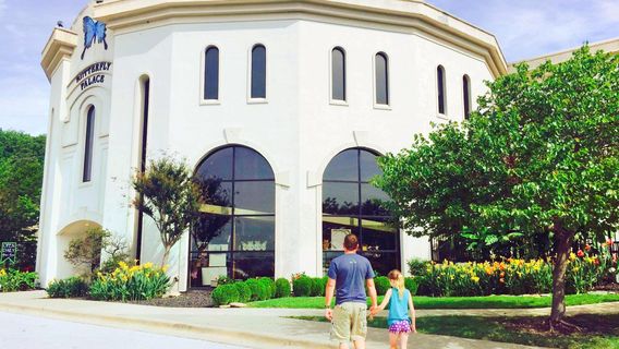 The Butterfly Palace & Rainforest Adventure