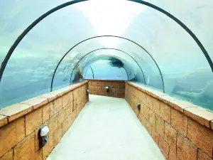 AQUATIS Aquarium-Vivarium