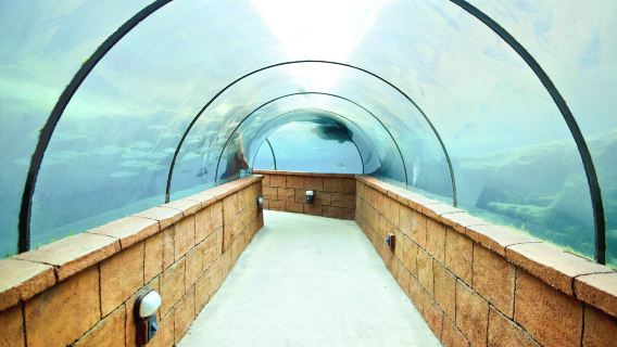 AQUATIS Aquarium-Vivarium