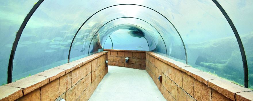 AQUATIS Aquarium-Vivarium