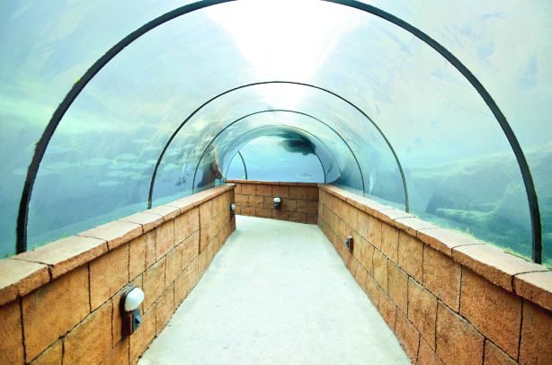 AQUATIS Aquarium-Vivarium