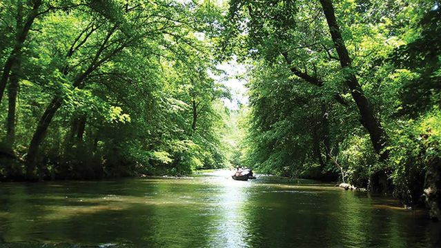 Big Canoe Creek Nature Preserve