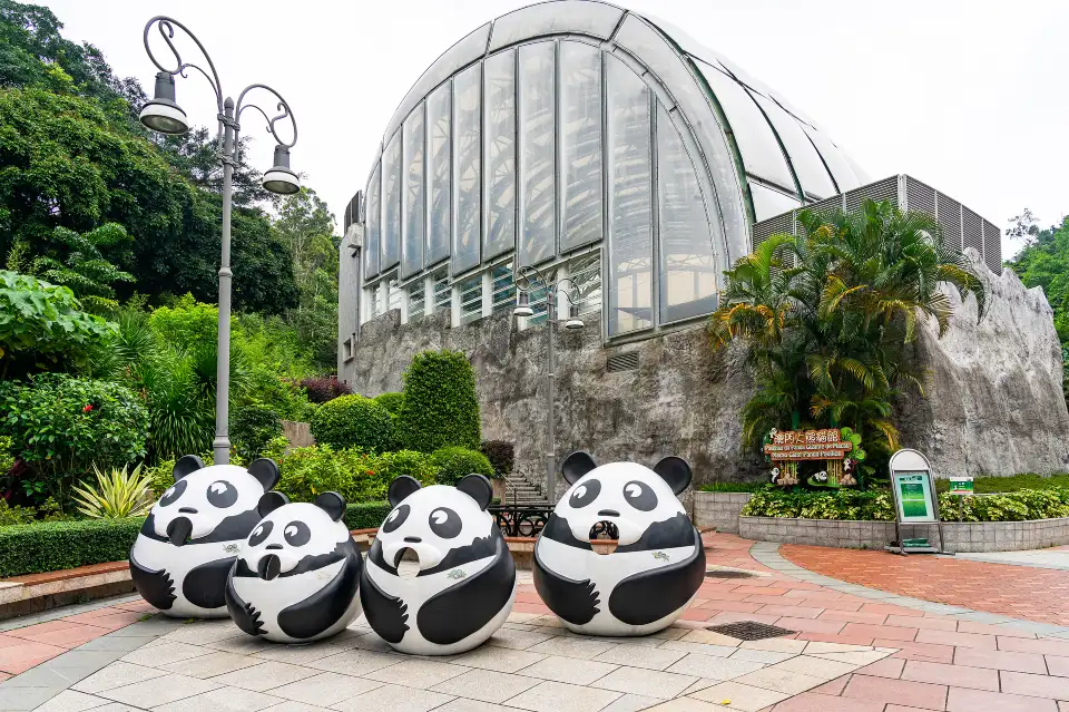 3_Macao Giant Panda Pavilion