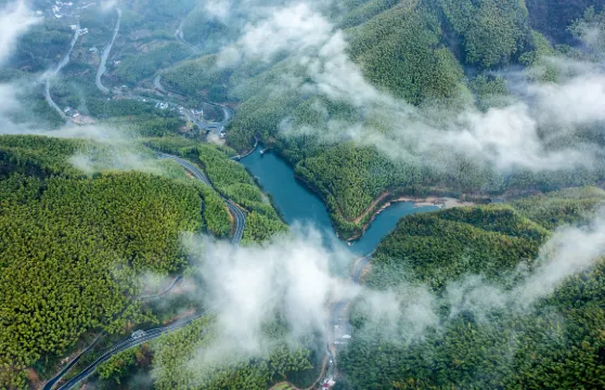 四明山國家森林公園門票2人