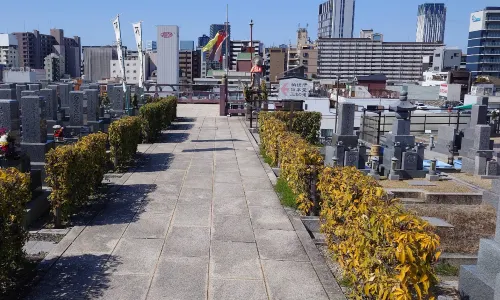 Kiyomizu-dera