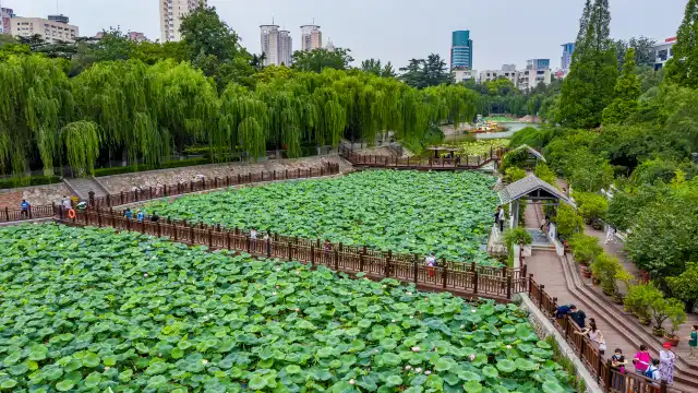 Hotels near Zijing Mountain Park