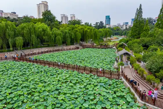 Hotels near Zijing Mountain Park