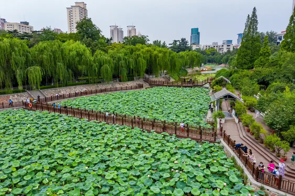 Hotels near Zijing Mountain Park