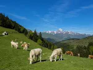 Parc national des Pyrénées