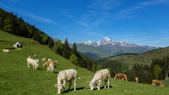 Parc national des Pyrénées