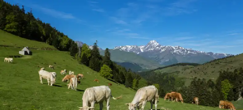 Hotels near Cauterets Thermal Baths