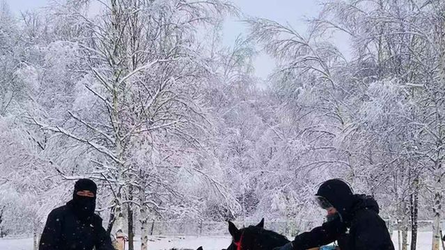 hei shi sen lin xue qi gong yuan