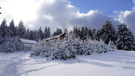 Vârtop Ski Slope