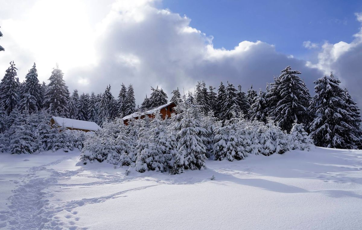 Vârtop Ski Slope