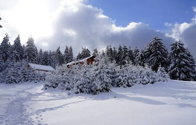 Vârtop Ski Slope