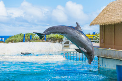 Sea Life Park Hawaii