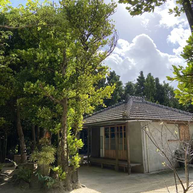 【沖縄】備瀬のフクギ並木