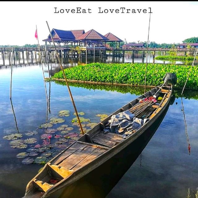 ล่องเรือ ชมดอกบัวแดง บัวขาว พัทลุง