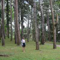 Embrace Nature