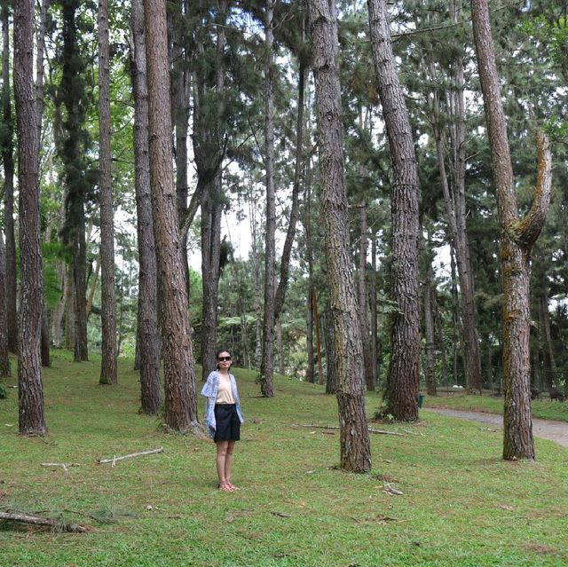Embrace Nature