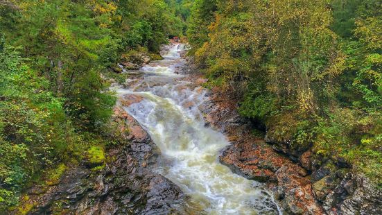 黄柏塬是黄柏塬风景区的简称，它的总面积896平方公里。风景区