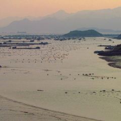 东安岛 User Photo