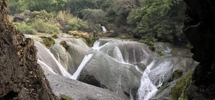 酸湯魚火鍋店