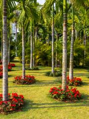 Sanya Tropical Rainforest Square