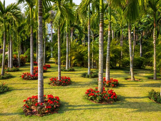 Sanya Tropical Rainforest Square