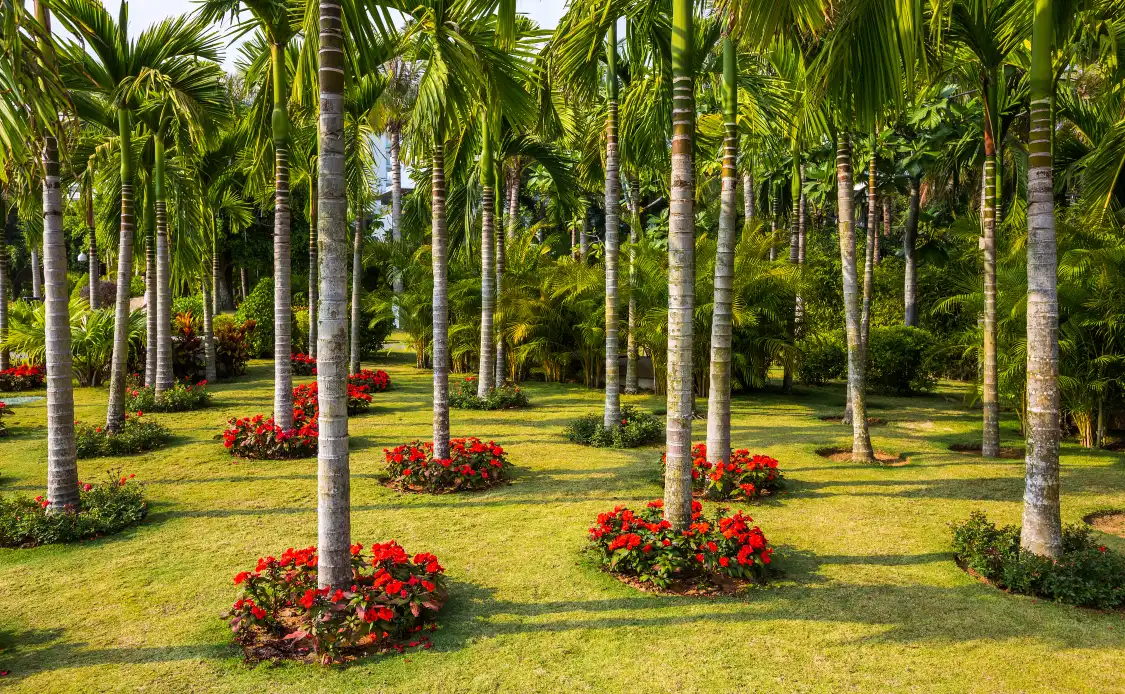 Hotels near Sanya Tropical Rainforest Square