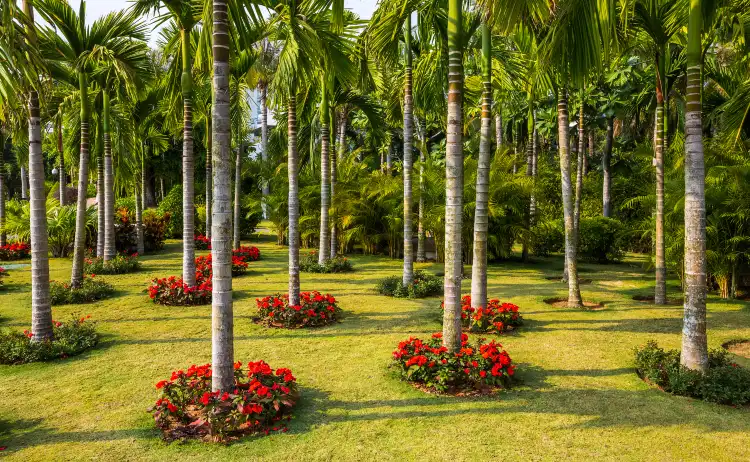 Hotels near Sanya Tropical Rainforest Square