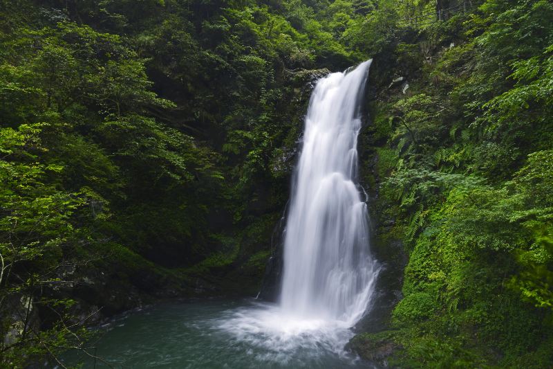 Longtan Waterfall, Jinggang Mountain