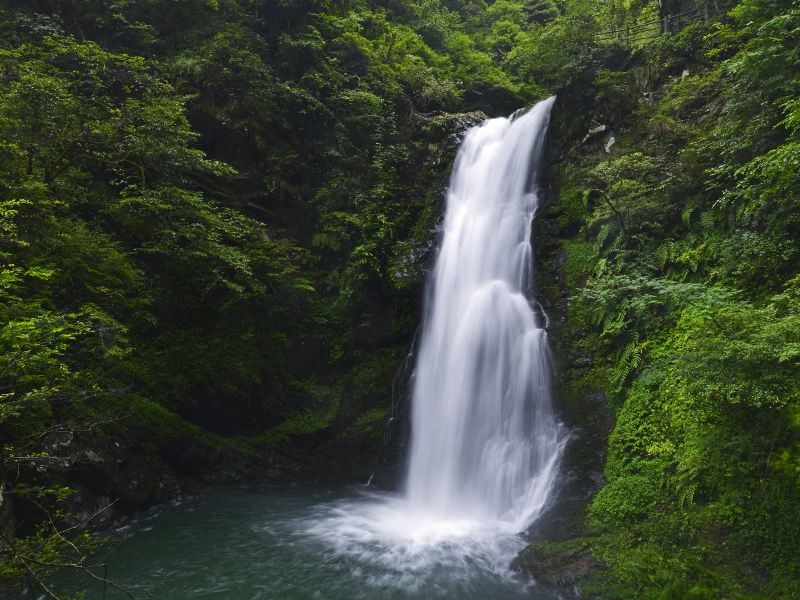 Longtan Waterfall, Jinggang Mountain