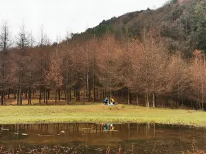 Zengjia Mountain Scenic Area