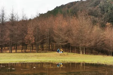 曾家山景區