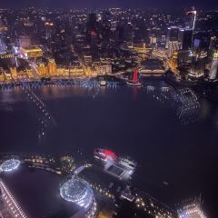 Oriental Pearl Sky Revolving Restaurant User Photo