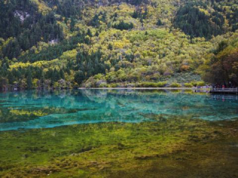 粉嶺名都廣場附近酒店