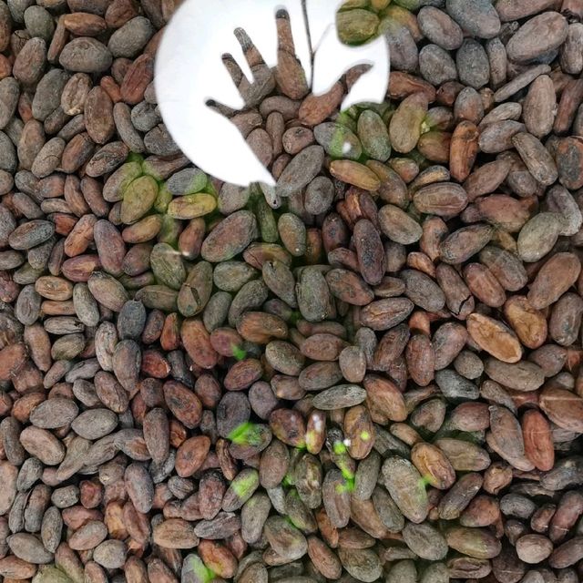 altTitle