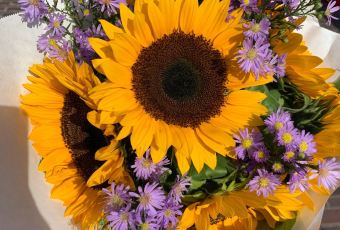 The Pink Door User Photo