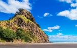 Piha Beach