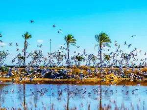 Lake Bogoria