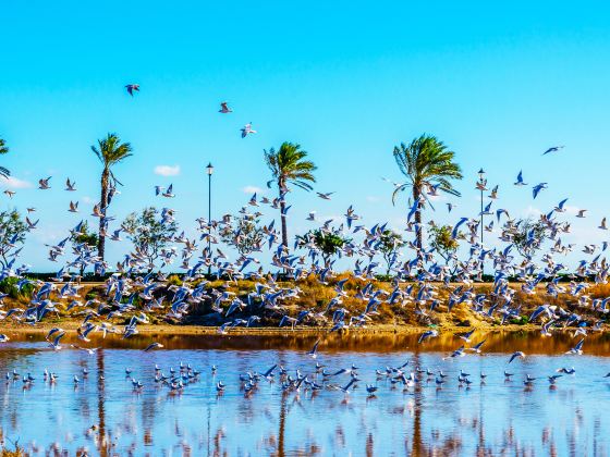 Lake Bogoria