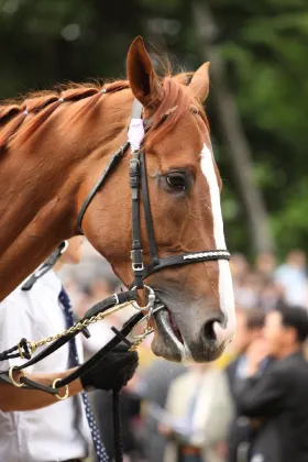 Hotels near Keeneland